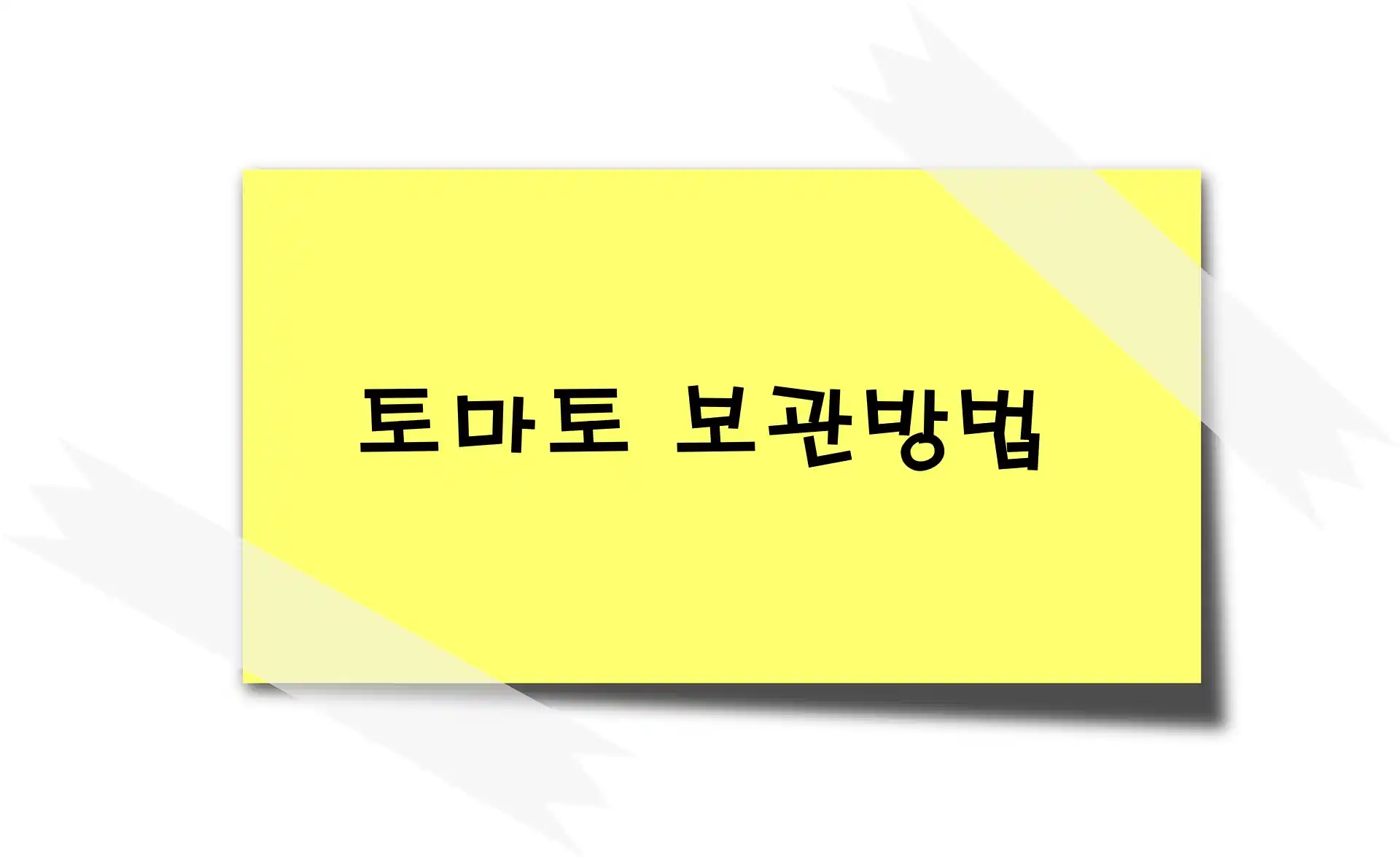 토마토 보관방법
