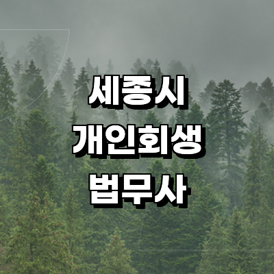 세종시 개인회생 법무사