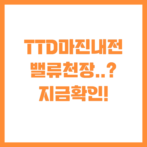 더 트레이드 데스크 마진 내전과 밸류..