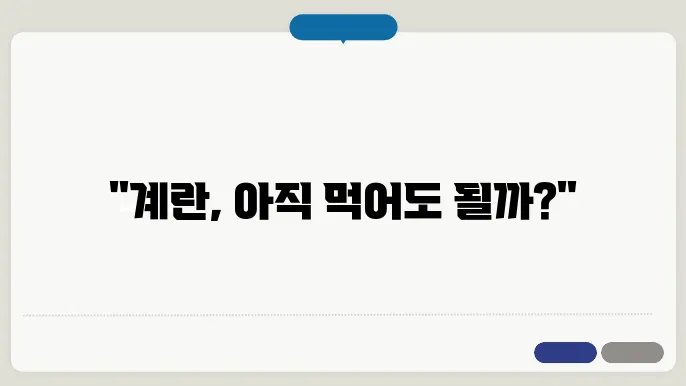 계란 유통기한 보장하기