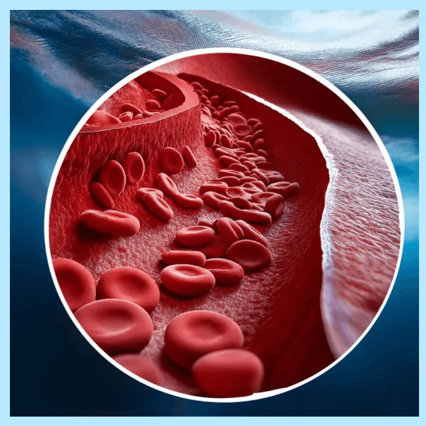 직장인 혈액순환 관련 사진