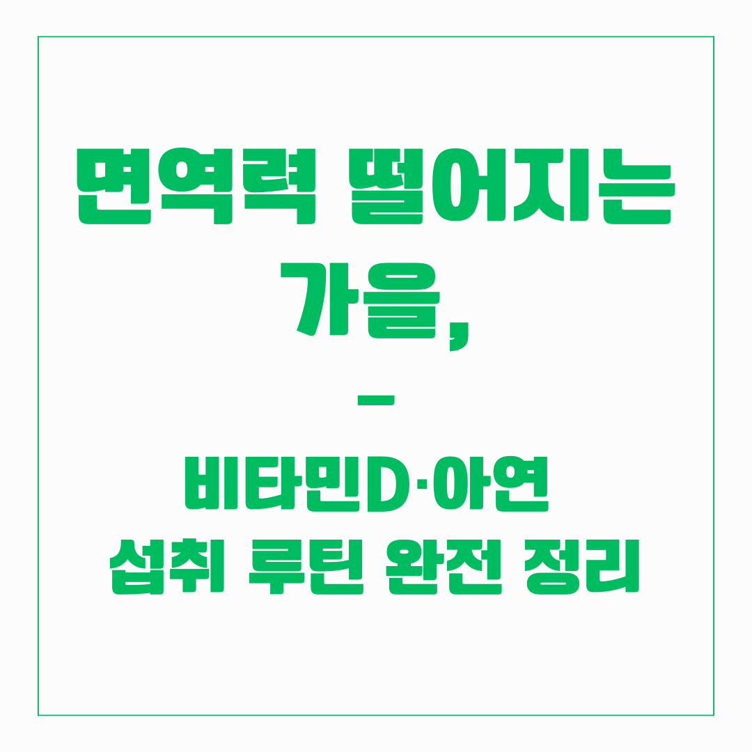 면역력 떨어지는 가을, 비타민D·아연 섭취 루틴 완전 정리