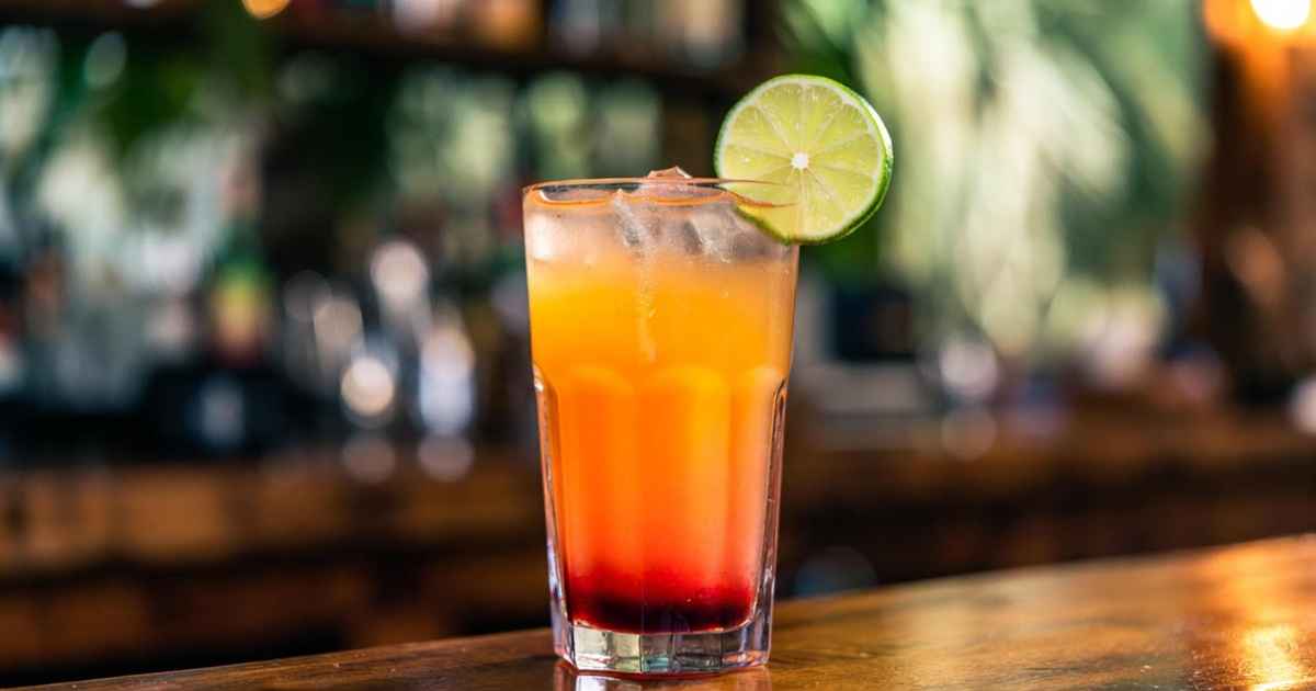 매드라스 황금 레시피 &amp; 스토리 및 완벽한 안주 추천