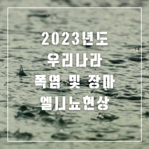 엘니뇨현상-폭염-장마
