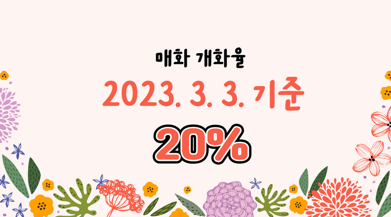 2023 전국 3월 축제 가볼만한 곳