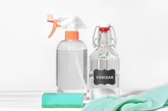 식초 곰팡이 제거