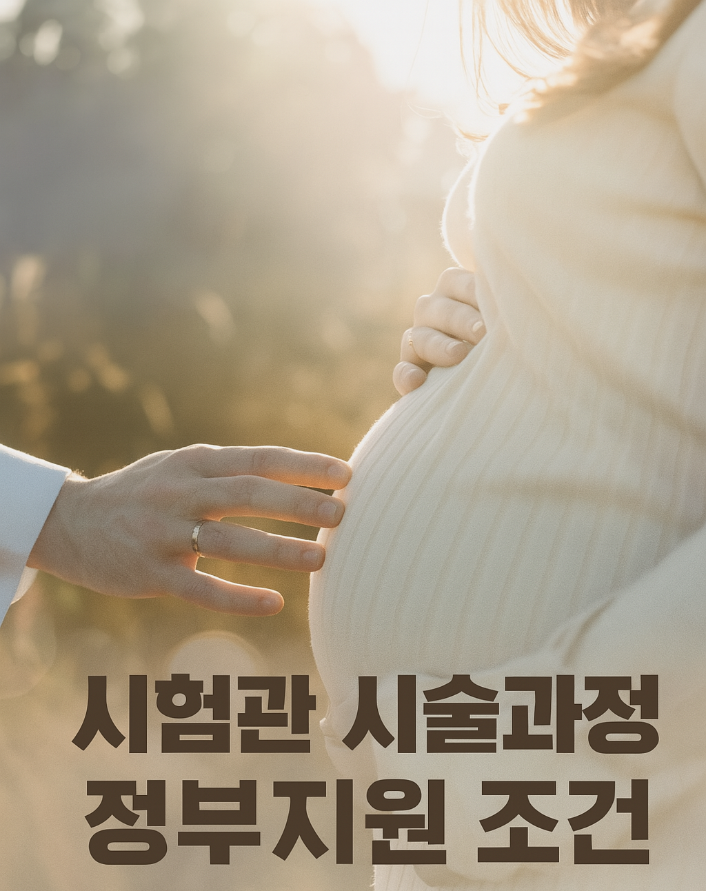 시험관 아기 시술과정