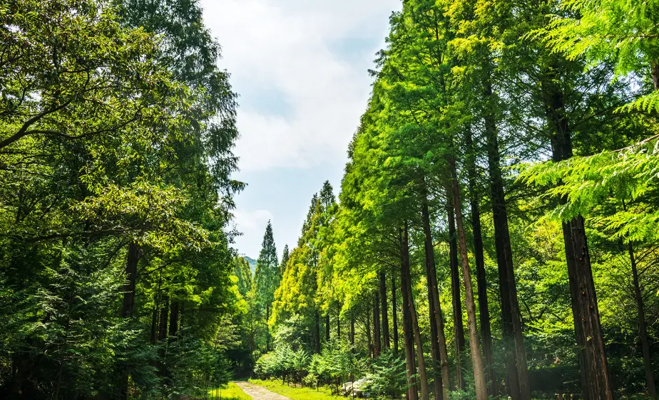 온빛자연휴양림예약 그 해 우리는 논산