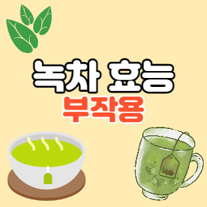 녹차-효능과-부작용