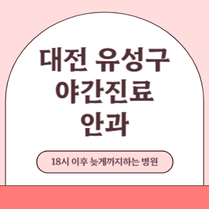 대전 유성구 야간진료 늦게까지 하는 안과 병원 (18시 이후 늦게까지하는 병원)