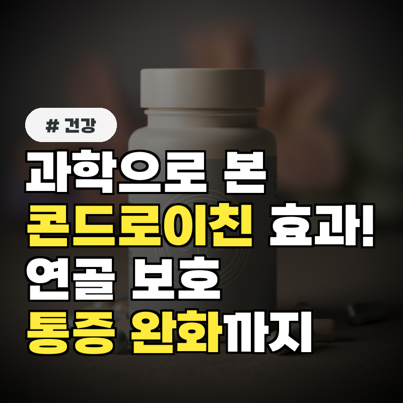 과학으로 본 콘드로이친 효과! 연골 보호부터 통증 완화까지!