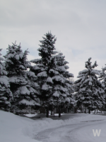 삿포로 축제정보 4