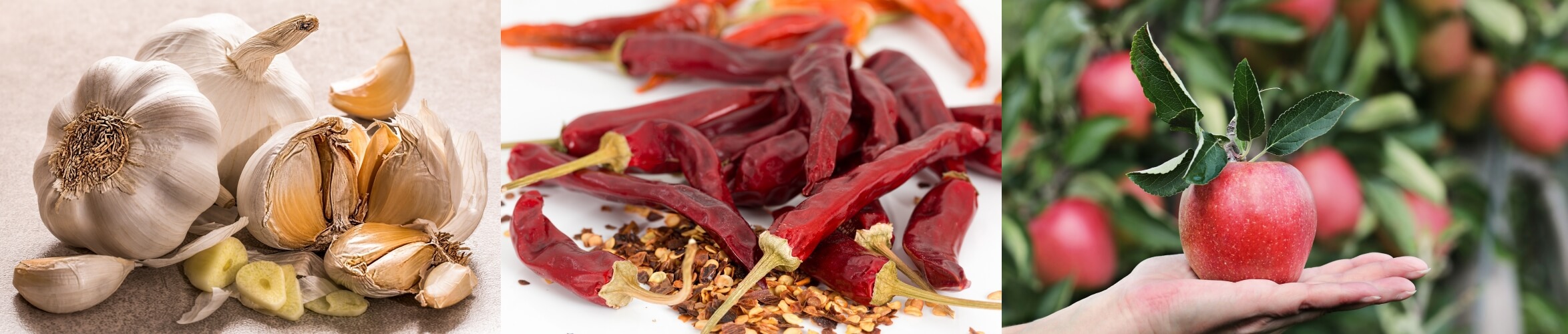 통마늘-말린-붉은-고추-사과