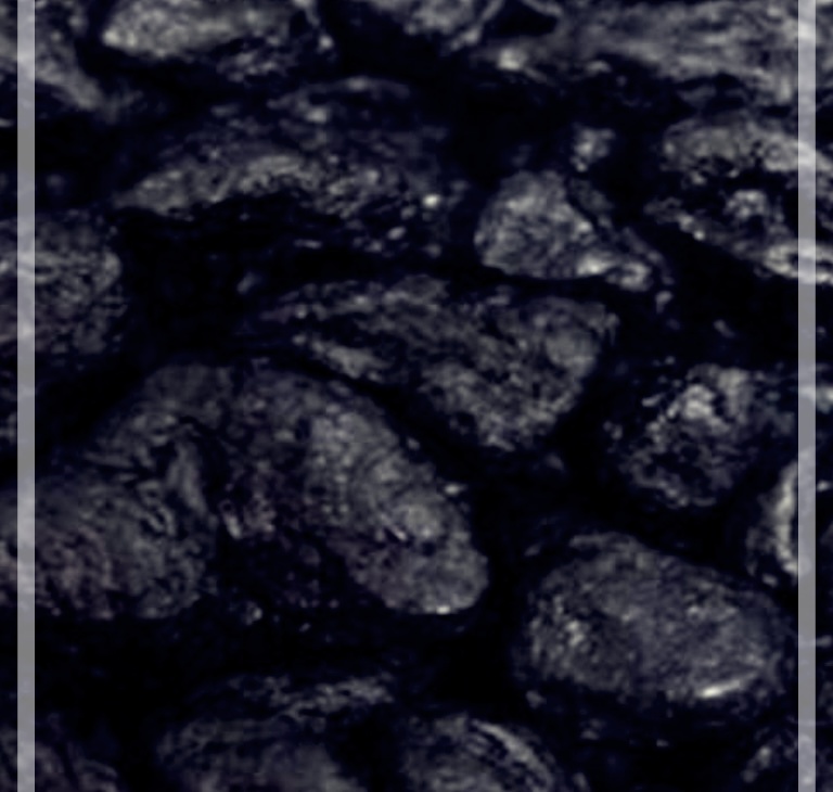 숙지황의 효능, 부작용 그리고 섭취법에 대하여