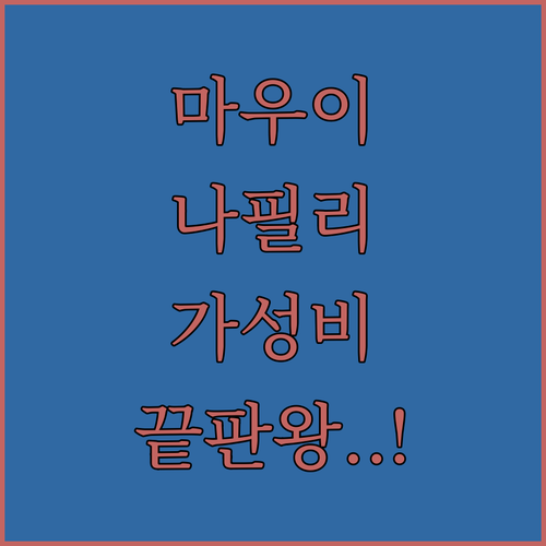 하와이 마우이 여행 나필리 지역 가성..