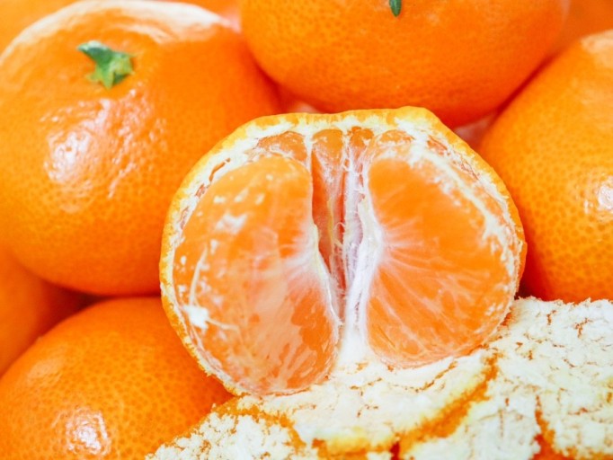 겨울에 먹으면 좋은 음식 귤