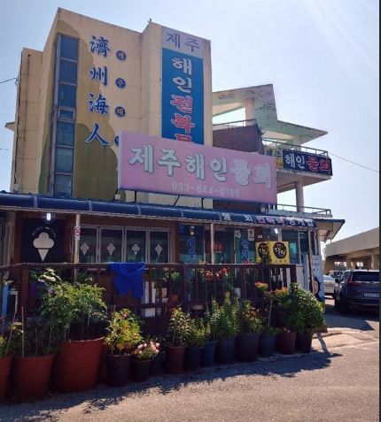 제주 해인물회