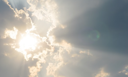 비타민d 부족증상 하루 권장량