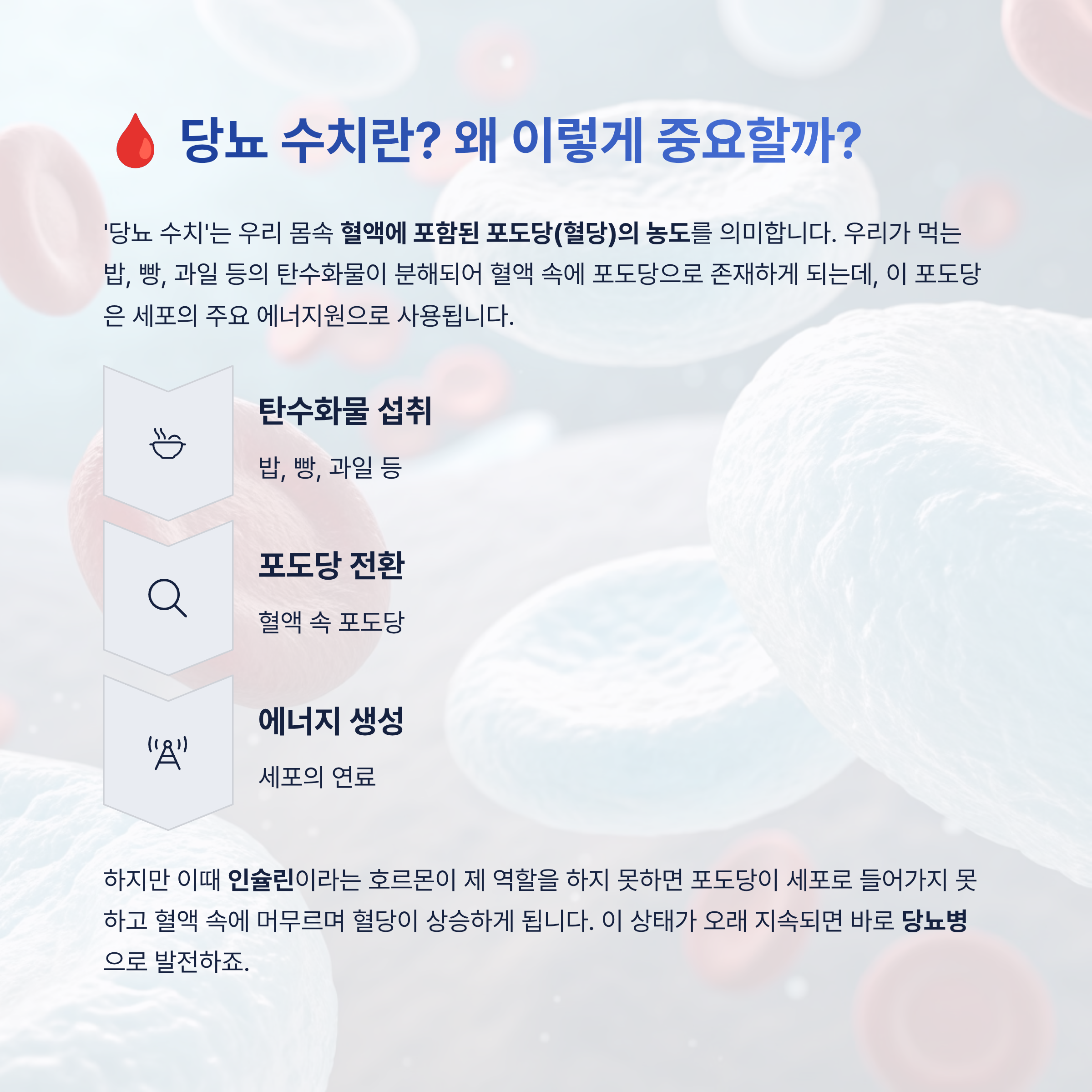 당뇨 수치 정상 기준 알아보기