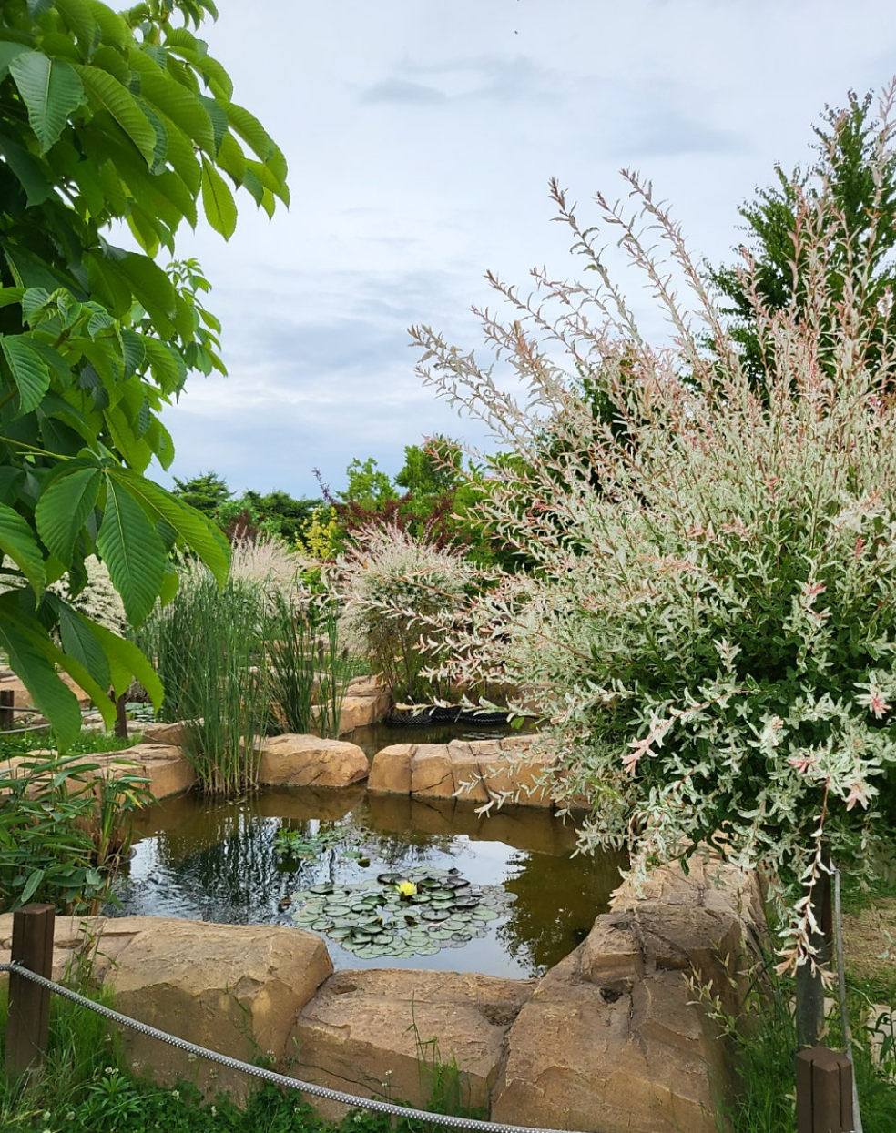 대부도 여행 추천