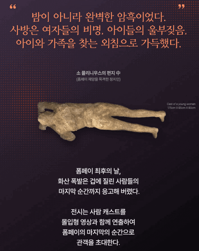 폼페이 유물전 최후의 날