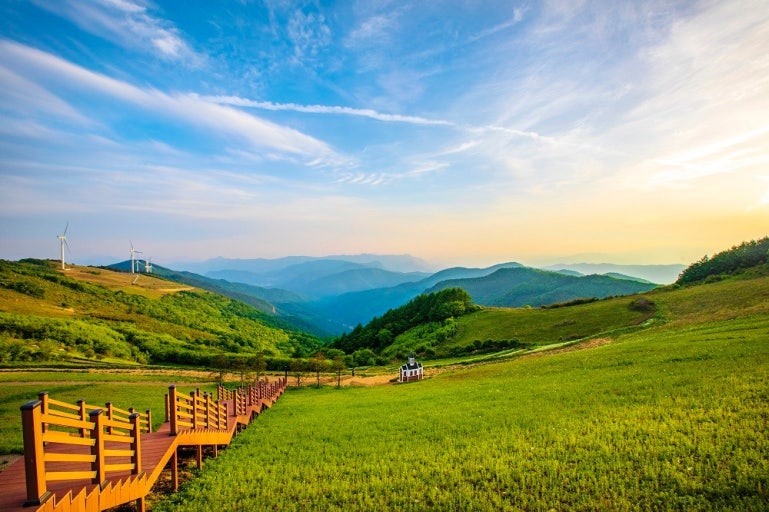 韓国旅行初心者ガイド