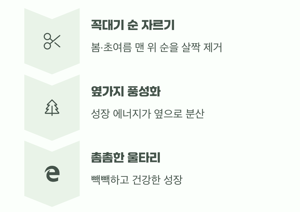 성장의 촉진제, '전지'라는 마법