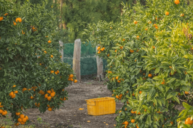 제주 나우다(NOWDA): 공영 관광지 할인 및 발급 방법