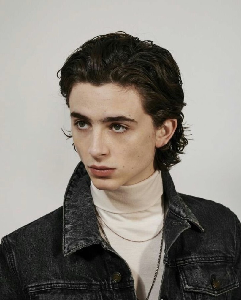 웡카 티모시 샬라메