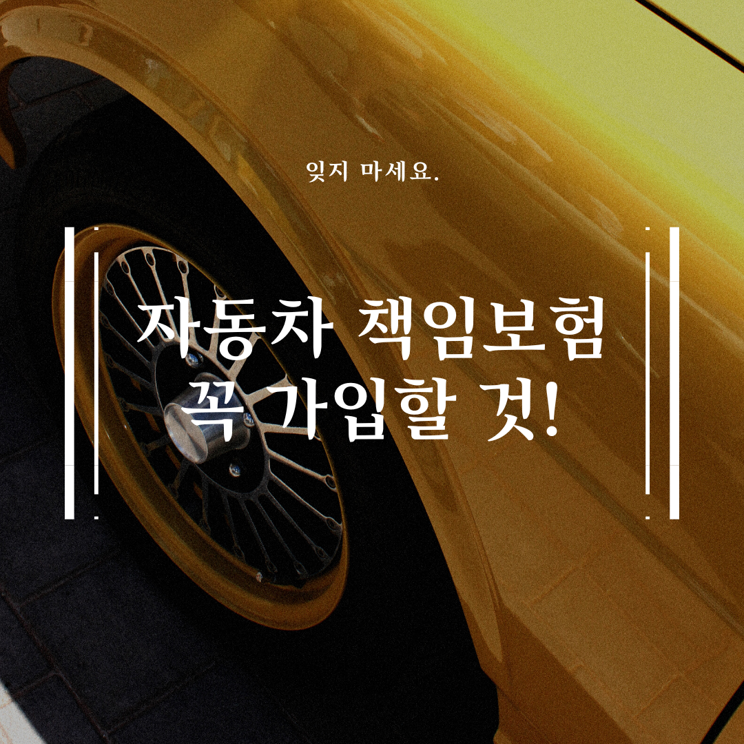 자동차 책임보험