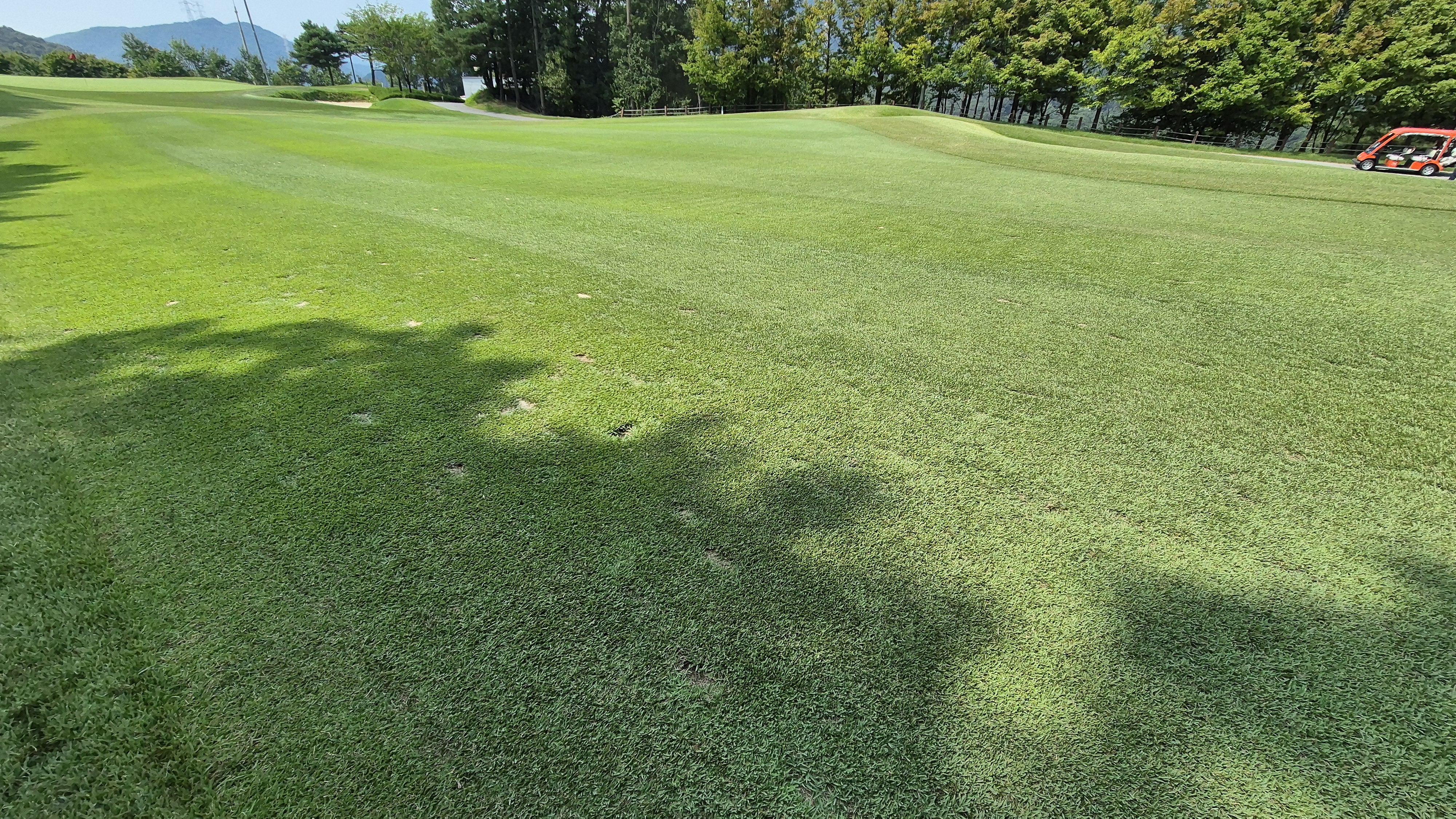 골프존카운티 안성H