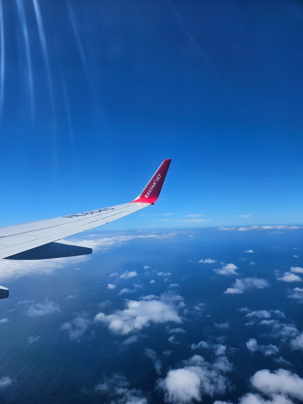 이스타항공 비행기에서 한 컷