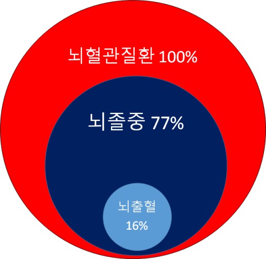 뇌혈관질환_뇌졸증-뇌출혈