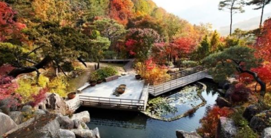 화담숲 예약 3분만에 성공하는 꿀팁