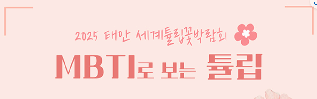 [서울 근교 4월 봄꽃 축제]태안 튤립축제, 안면도 코리아플라워파크