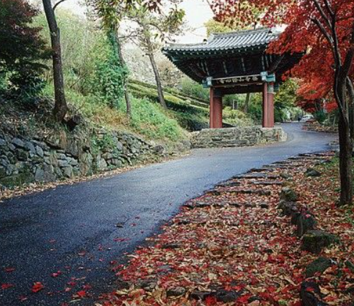 2025 무등산 단풍 절정시기 확인! 가을 BEST 등산코스 완전 정복