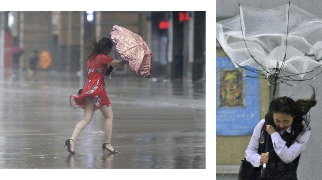 폭우 피해보상 관련주