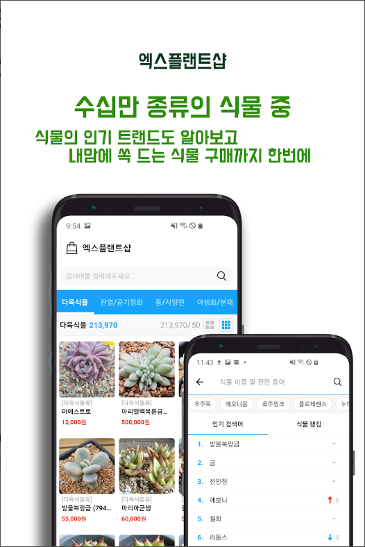 식물119, 식물키우기, 식물물주기, 식물이름찾기 어플