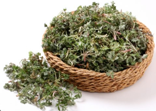 한국의 떡 종류 복령떡-쑥