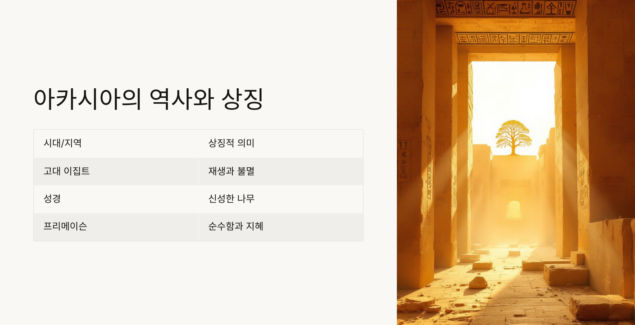 아카시아 꽃