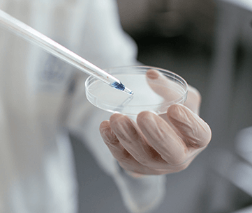 sk바이오팜 주가