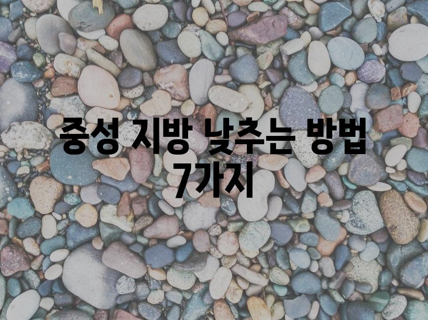 샘플 (82)
