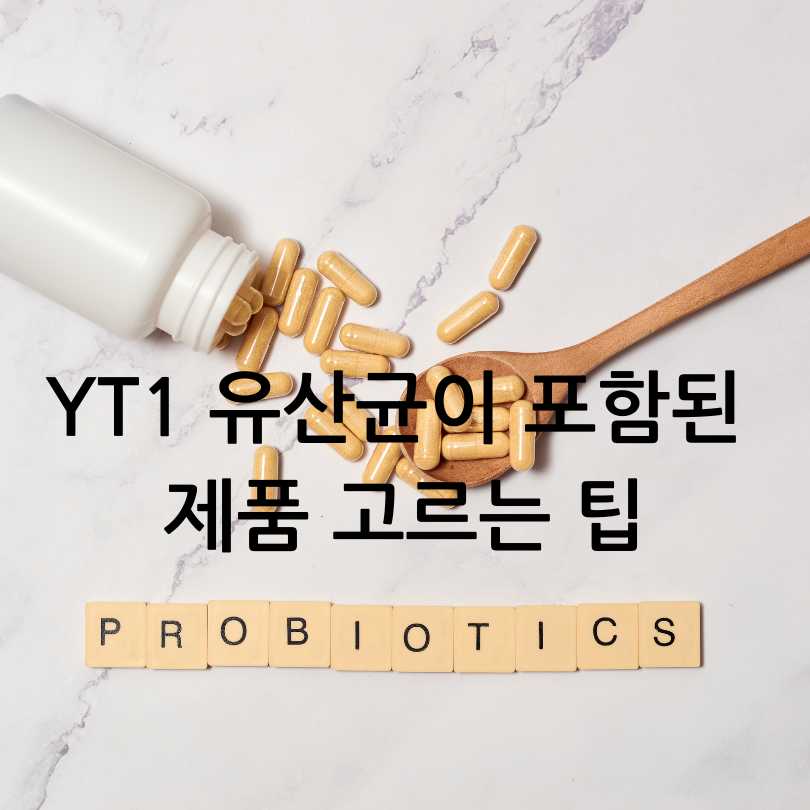 여성갱년기유산균 YT1