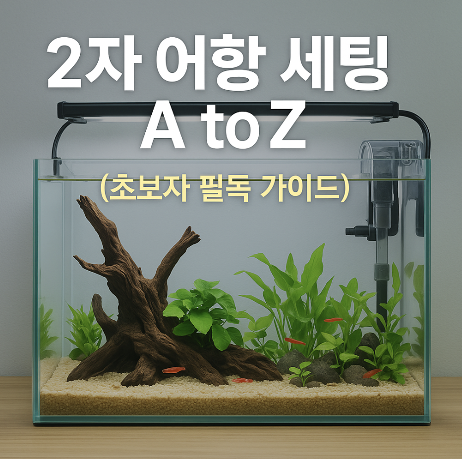 2자 어항 세팅 A to Z (초보자 필독 가이드)