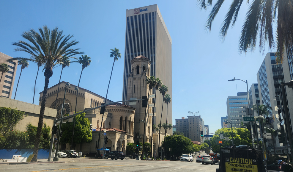 캐나리 데이트 팜 (Phoenix canariensis) 이미지