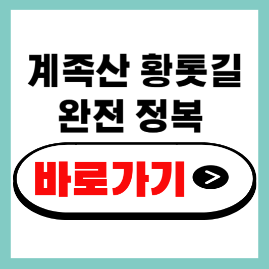 계족산 황톳길 완정 정복