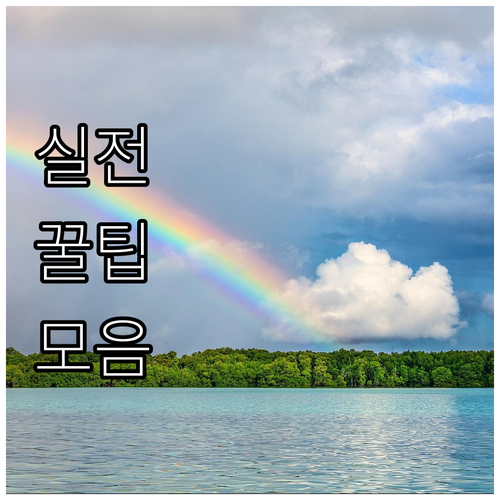 내 아이 치아 건강 2025 서초구 ..