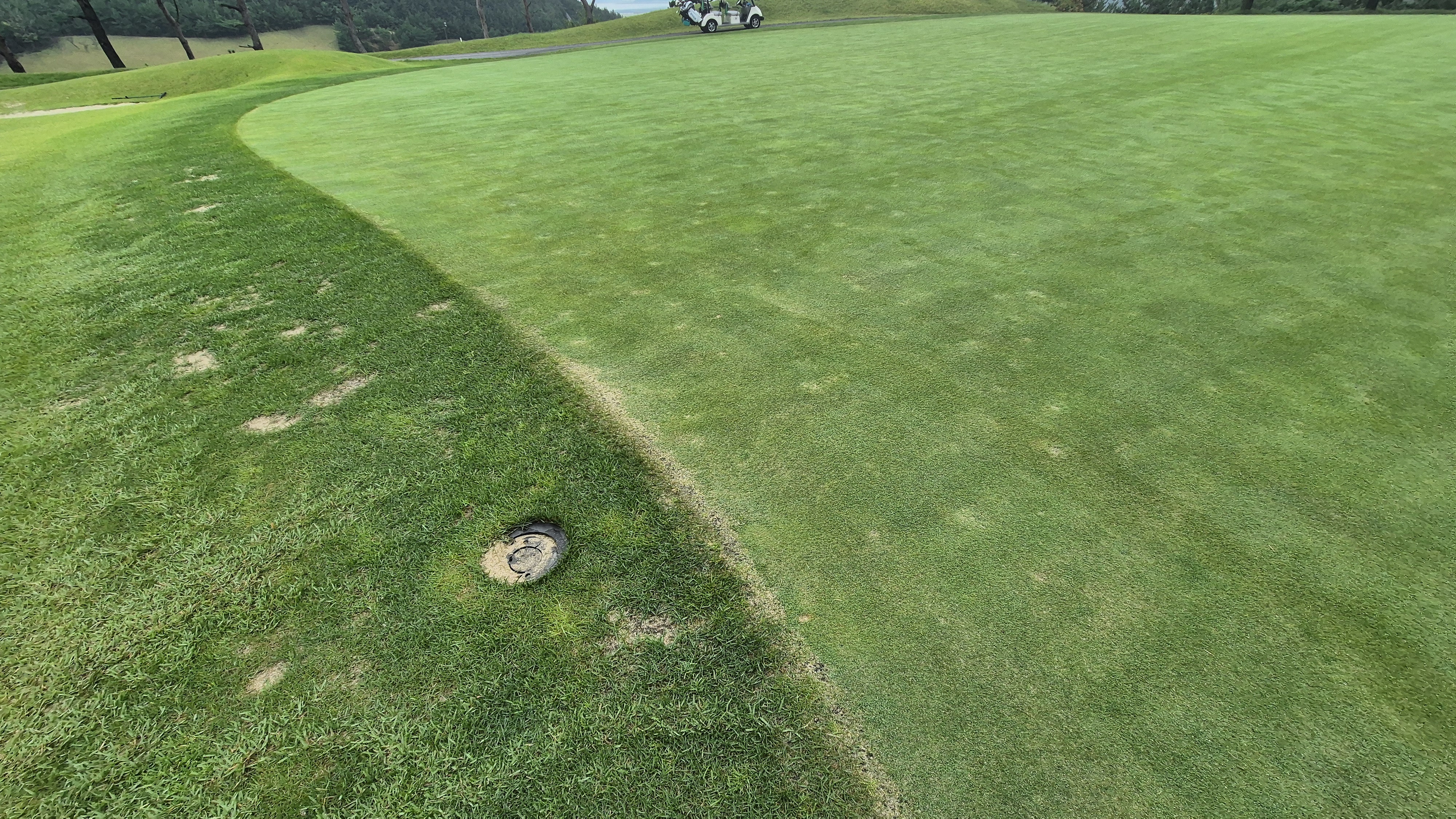 서산수cc 그린 관리 상태