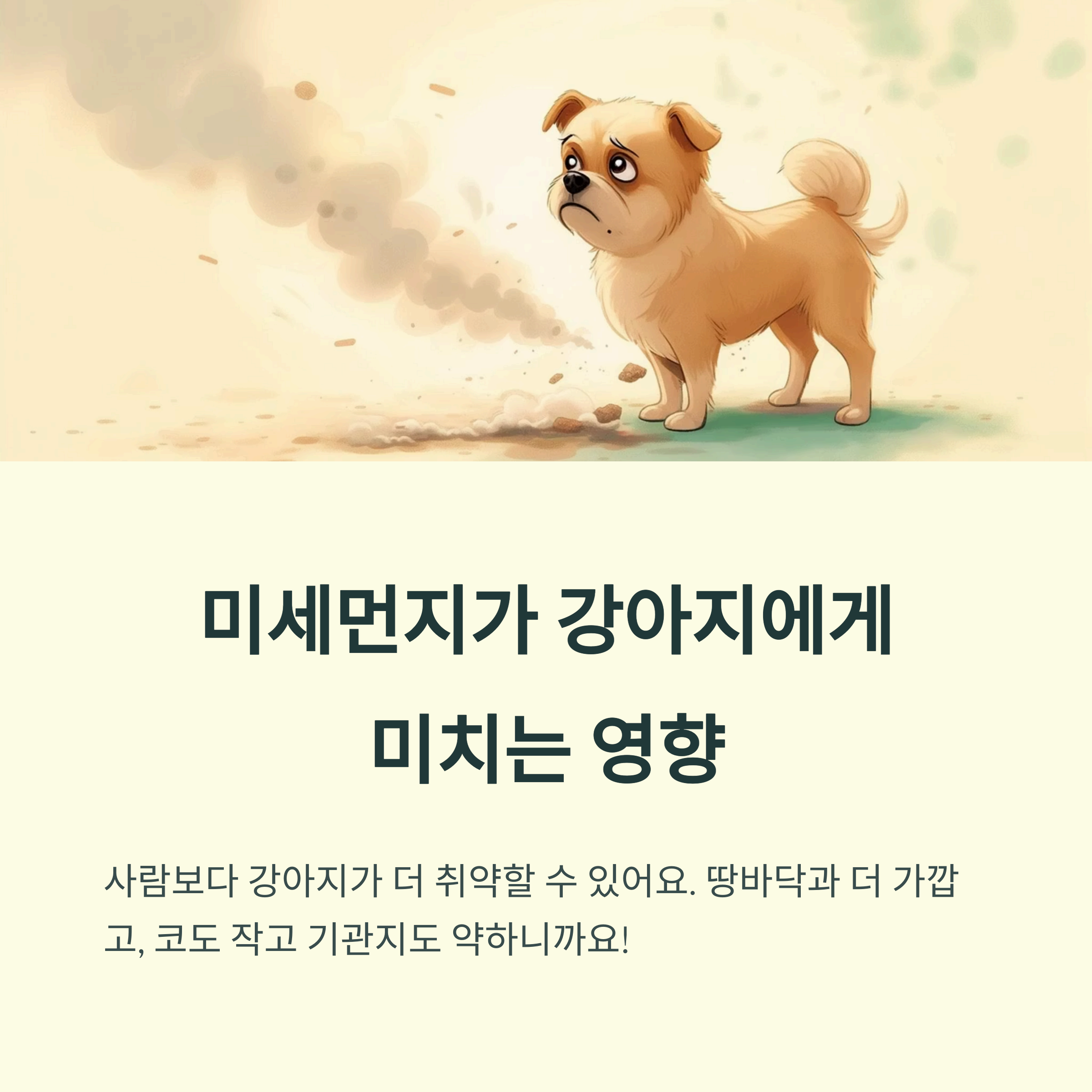 미세먼지가 강아지에게 미치는 영향