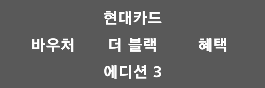 현대 더 블랙 에디션3